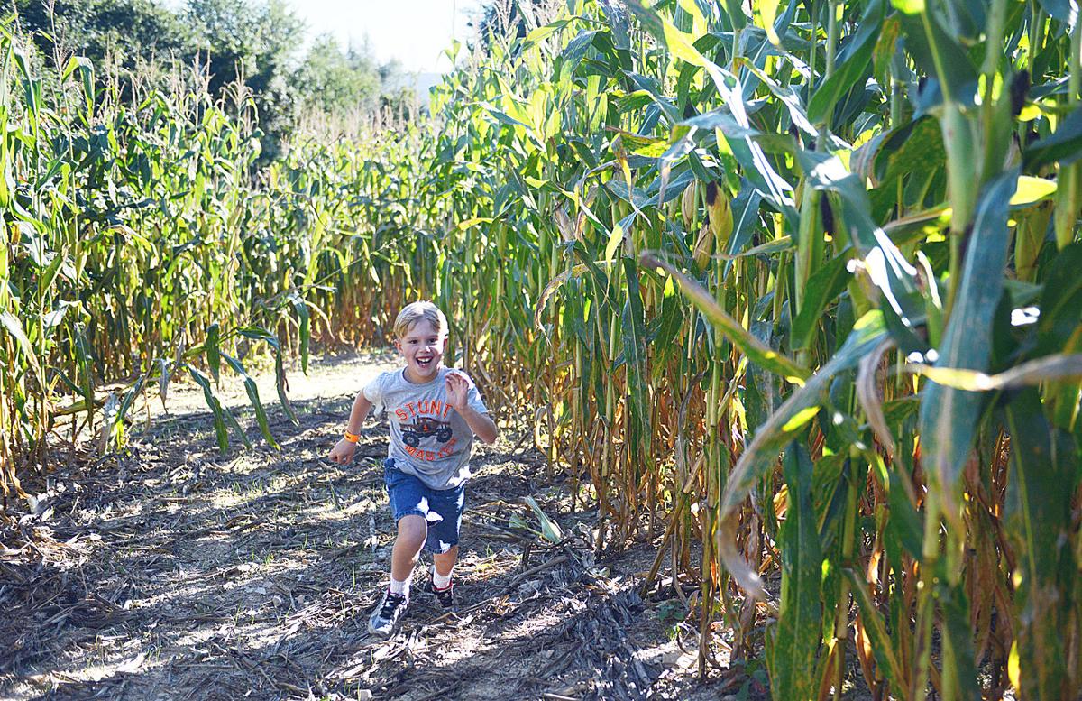 Get Lost … in a corn maze! – Inside Pennsylvania Magazine